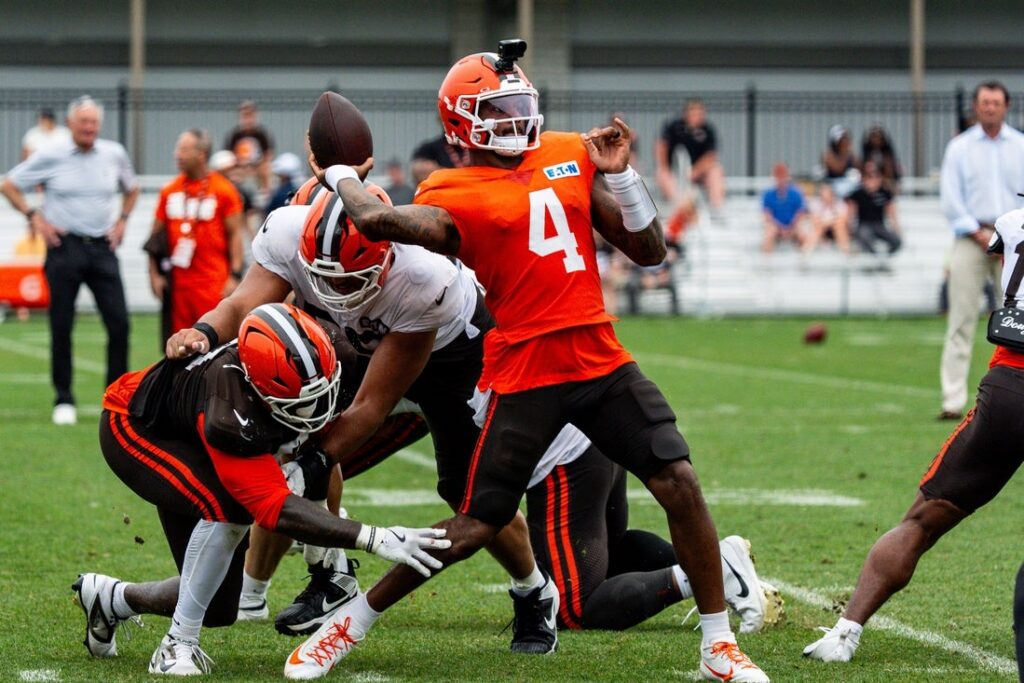 deshaun watson