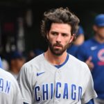 dansby swanson