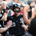 white sox