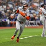 Orioles, Rays