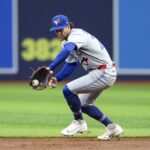 blue jays