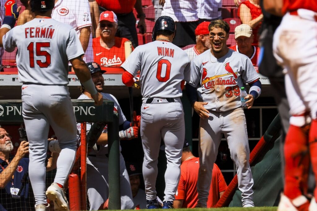 st. louis Cardinals, cincinnati reds