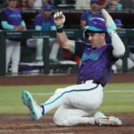 diamondbacks