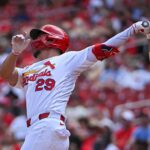 cardinals