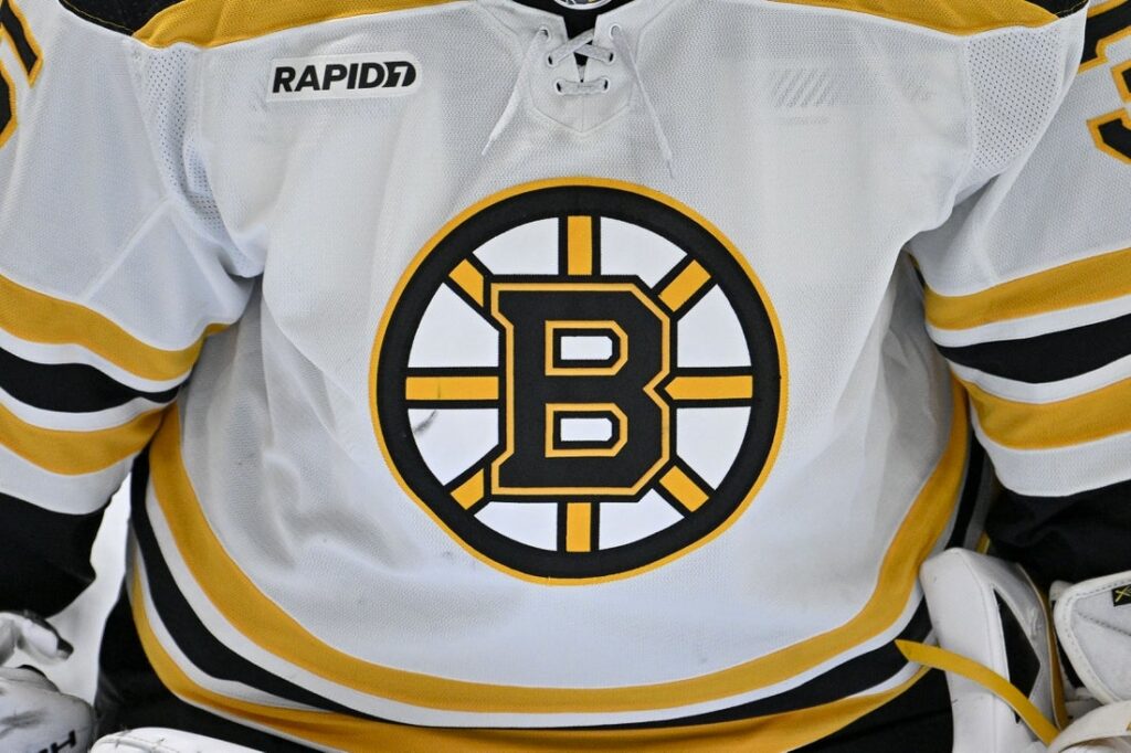 boston bruins logo