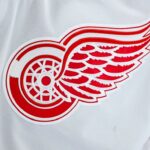 red wings logo