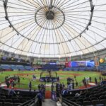 tropicana field, view