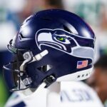 seattle seahawks helmet