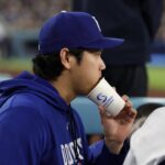 shohei ohtani