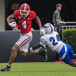 georgia, tennessee state