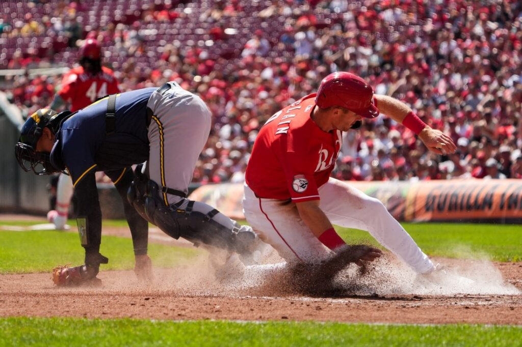 reds brewers
