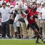 Georgia Bulldogs