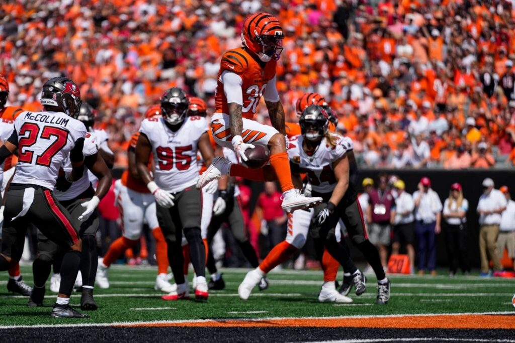 Bengals, Buccaneers