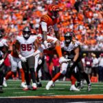 Bengals, Buccaneers