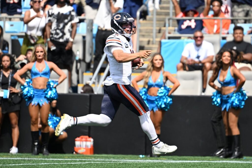 Bears, Panthers