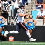 Bears, Panthers