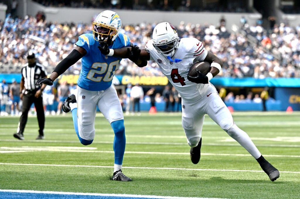 arizona cardinals