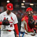 cardinals mathews bernal