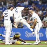 tampa bay rays