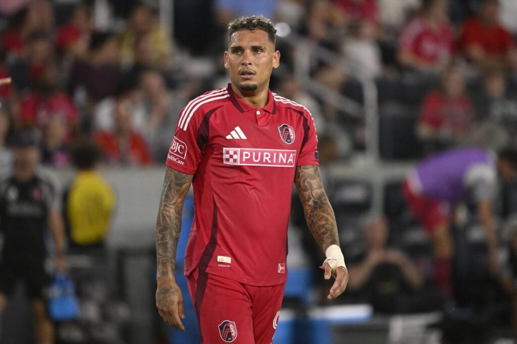 rafael navarro