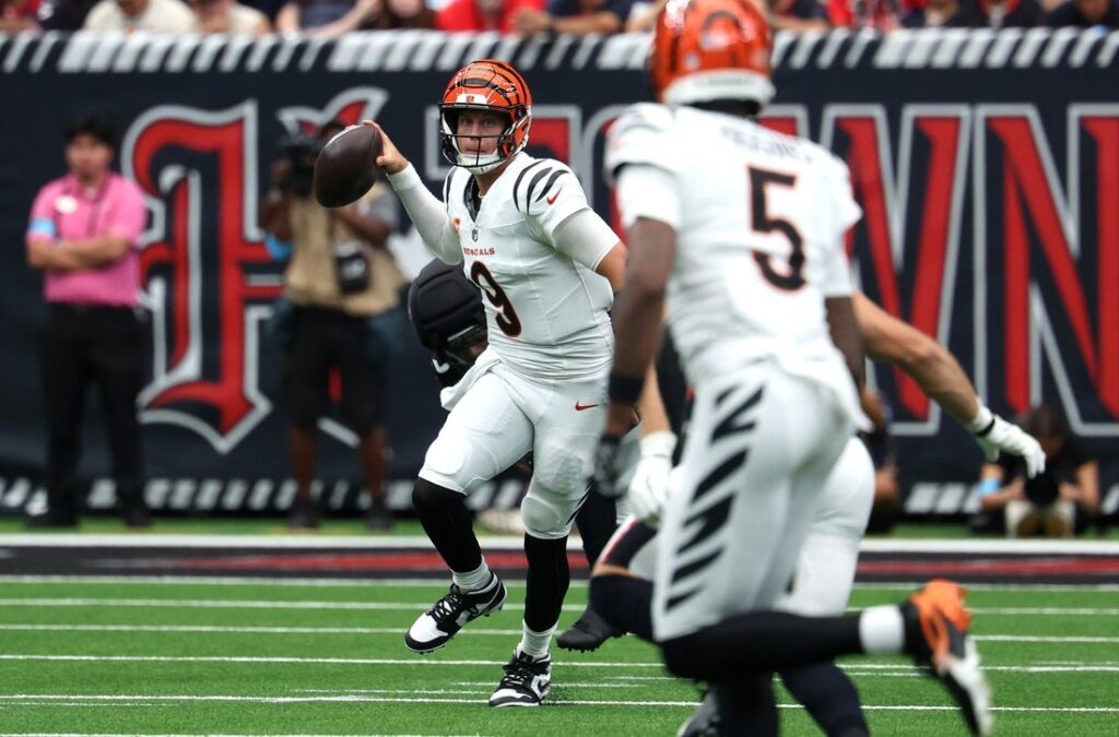 Bengals, Texans