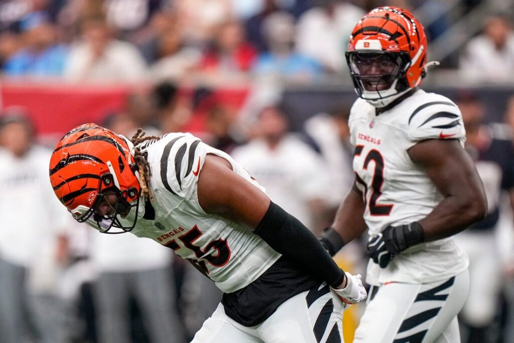 bengals