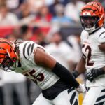 bengals