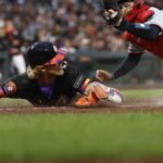 minnesota twins