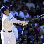 cubs