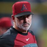 Arizona Diamondbacks manager