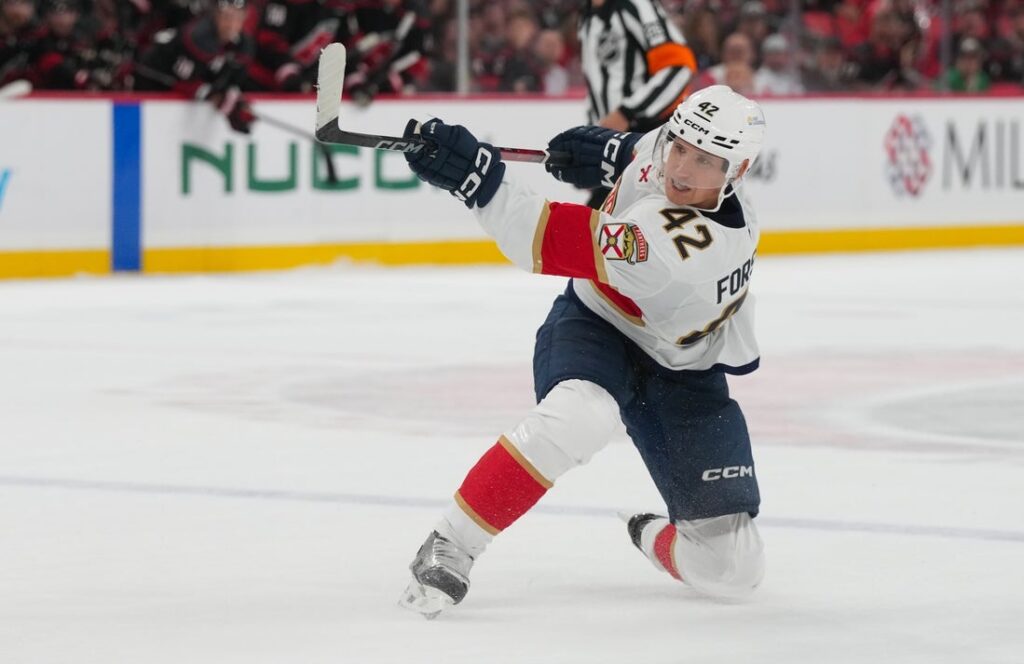 Hurricanes, Panthers