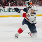 Hurricanes, Panthers