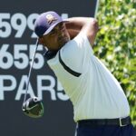 anirban lahiri