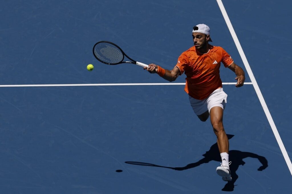 daniil medvedev hits