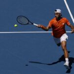 daniil medvedev hits