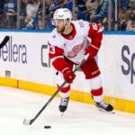 detroit red wings, debrincat
