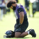 Vega Ioane