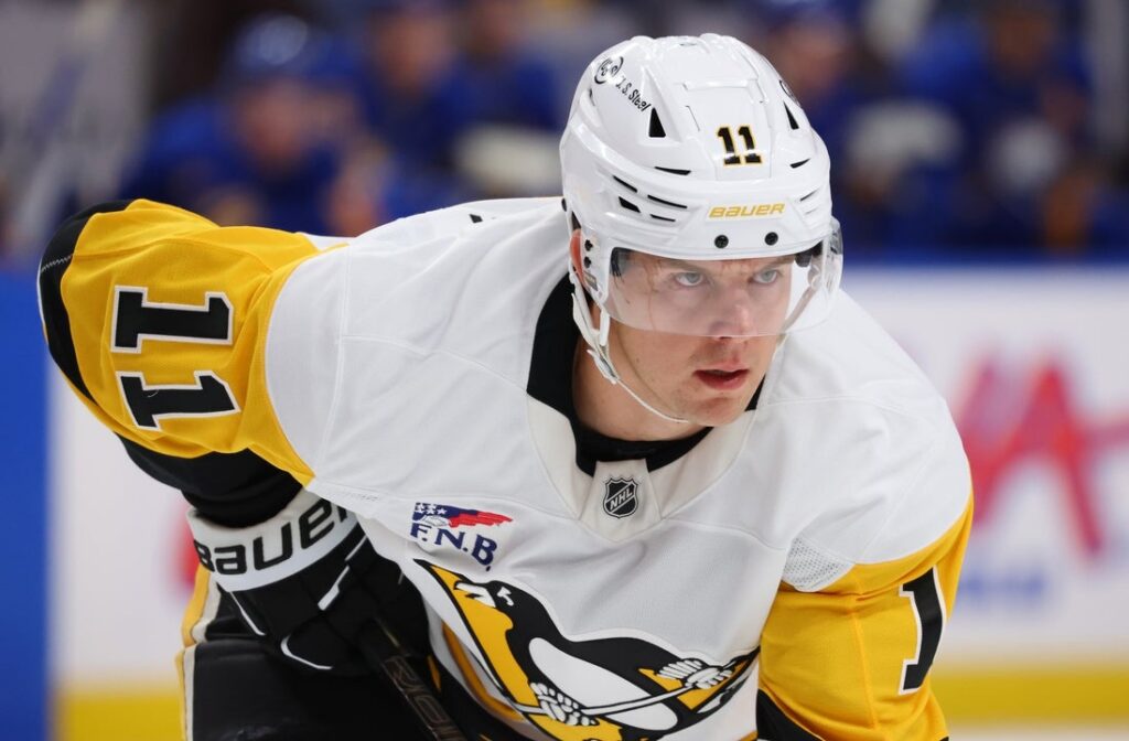 hallander penguins