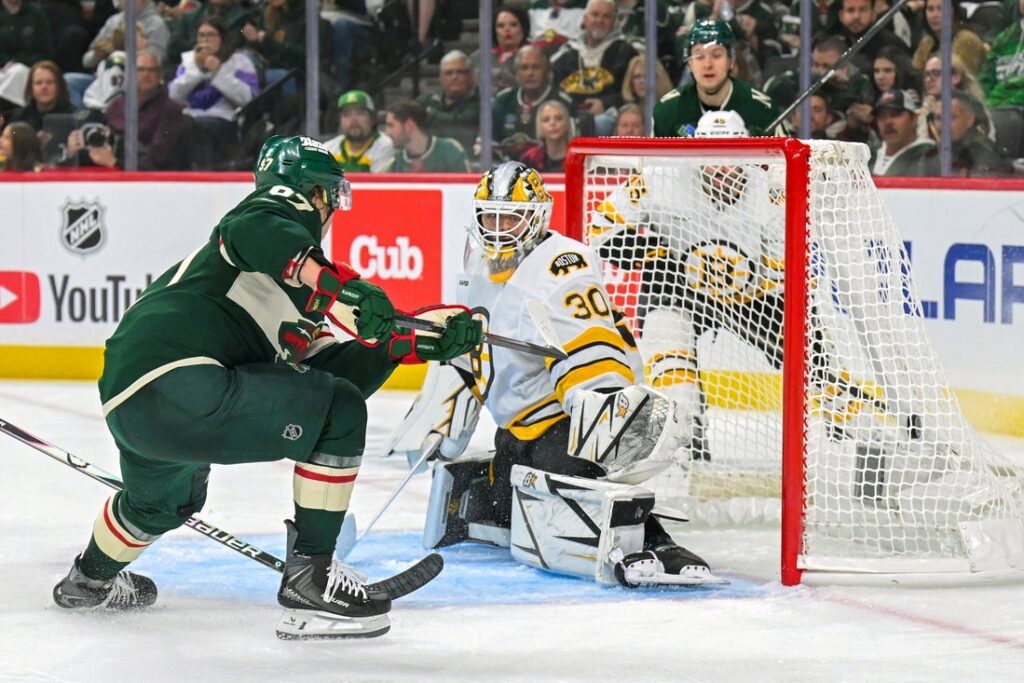 Bruins, Wild