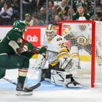 Bruins, Wild