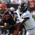 Bengals, Jaguars