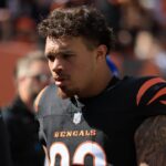 bengals erick all