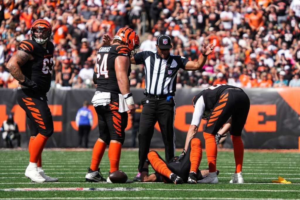 bengals chase