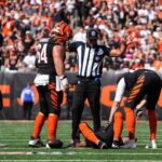 bengals chase