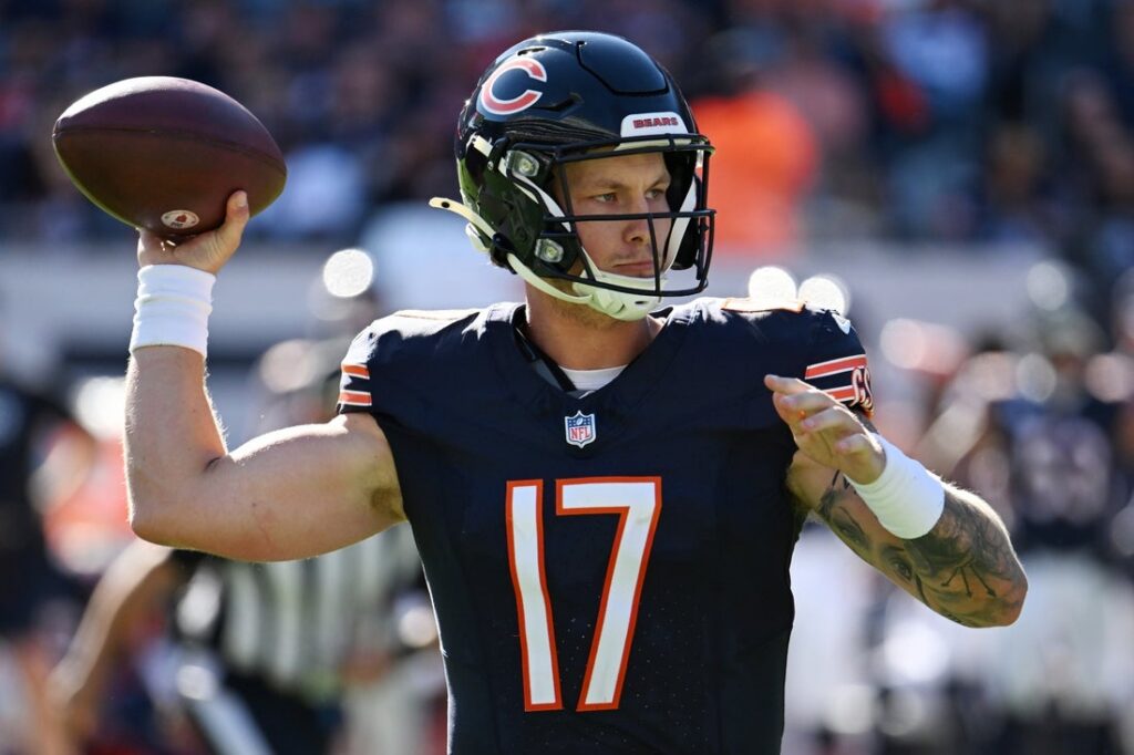 Bears