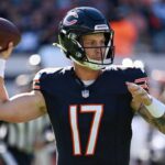 Bears