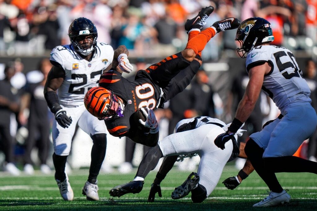 Jaguars, Bengals