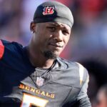 tee higgins