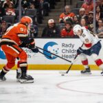 Ducks, Panthers