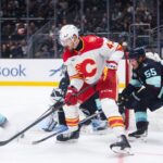 calgary flames